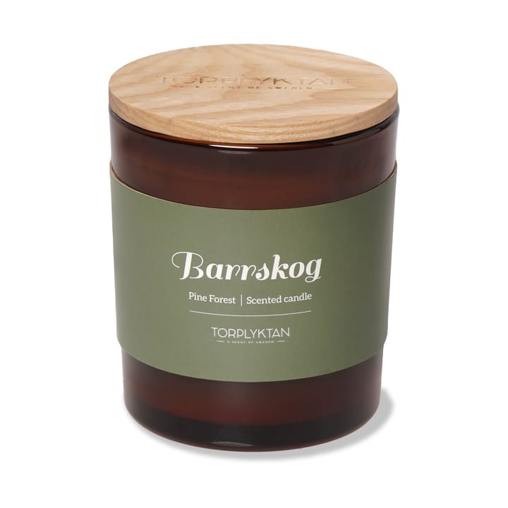 Northern woods vela perfumada 310 g, Pine Forest Torplyktan