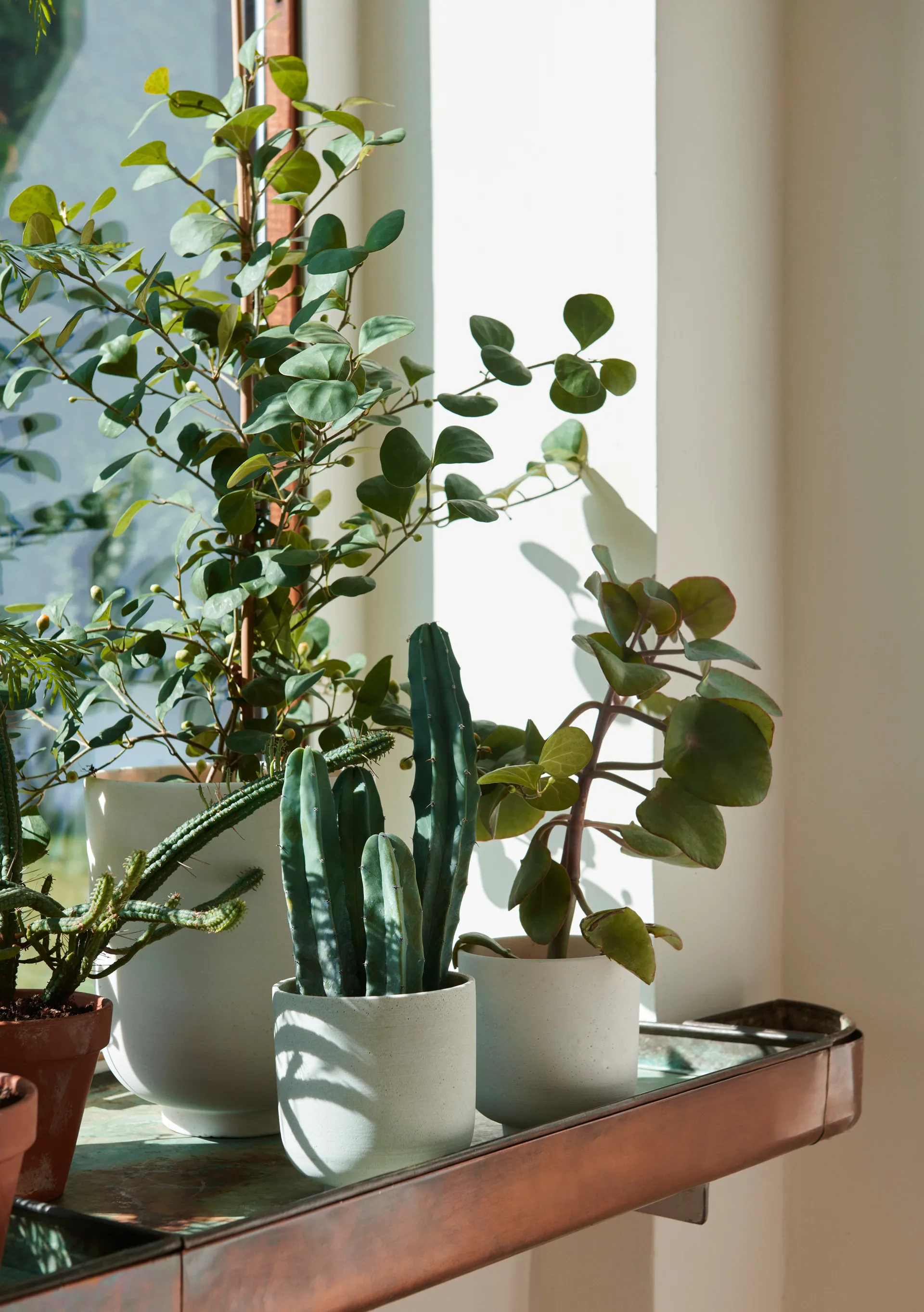 Vaso de flores alto Collect SC72 Ø20 cm, Milk &Tradition