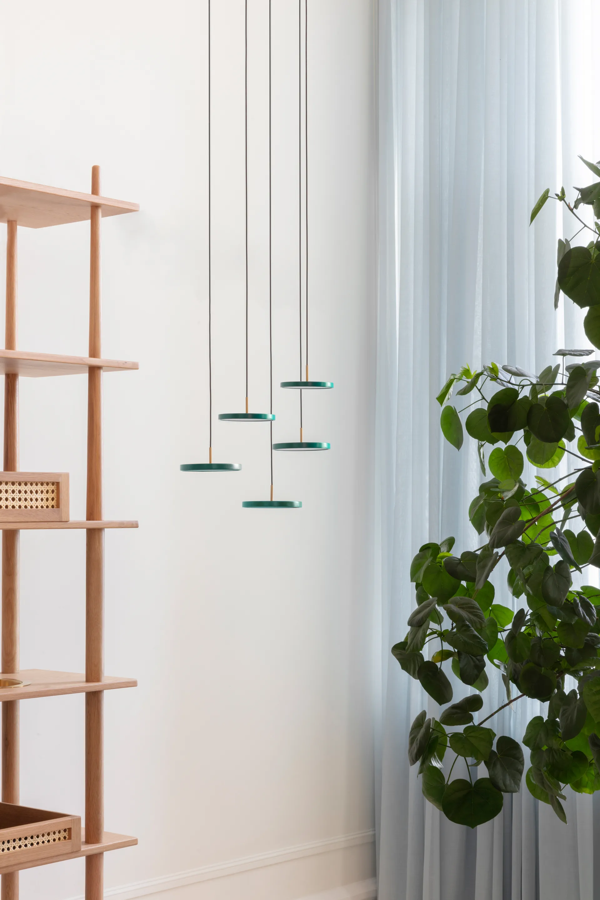 Asteria Micro candeeiro de teto , Forest green Umage