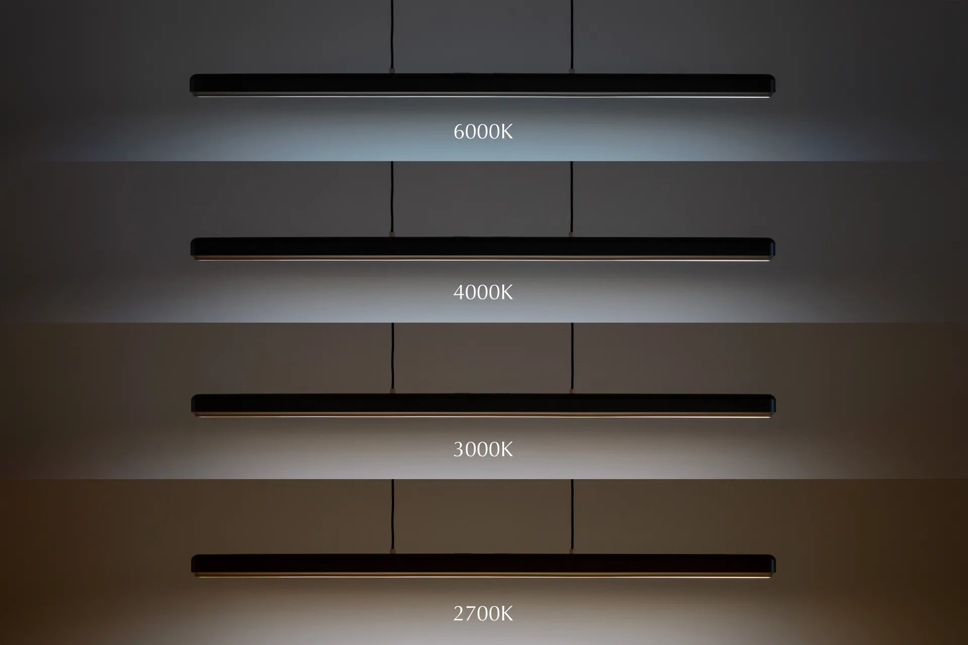 Hazel Branch pendente 1,5m, Preto-latão Umage