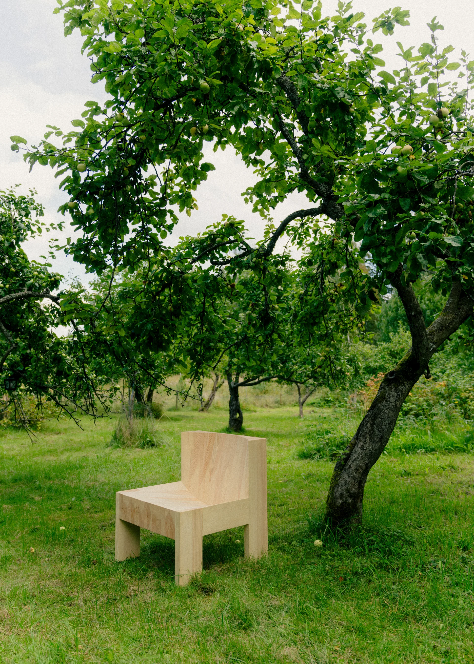 005 Lounge Chair poltrona lounge, Pinho oleado mate Vaarnii