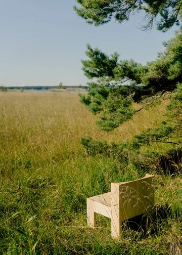 005 Lounge Chair poltrona lounge - Pinho oleado mate - Vaarnii