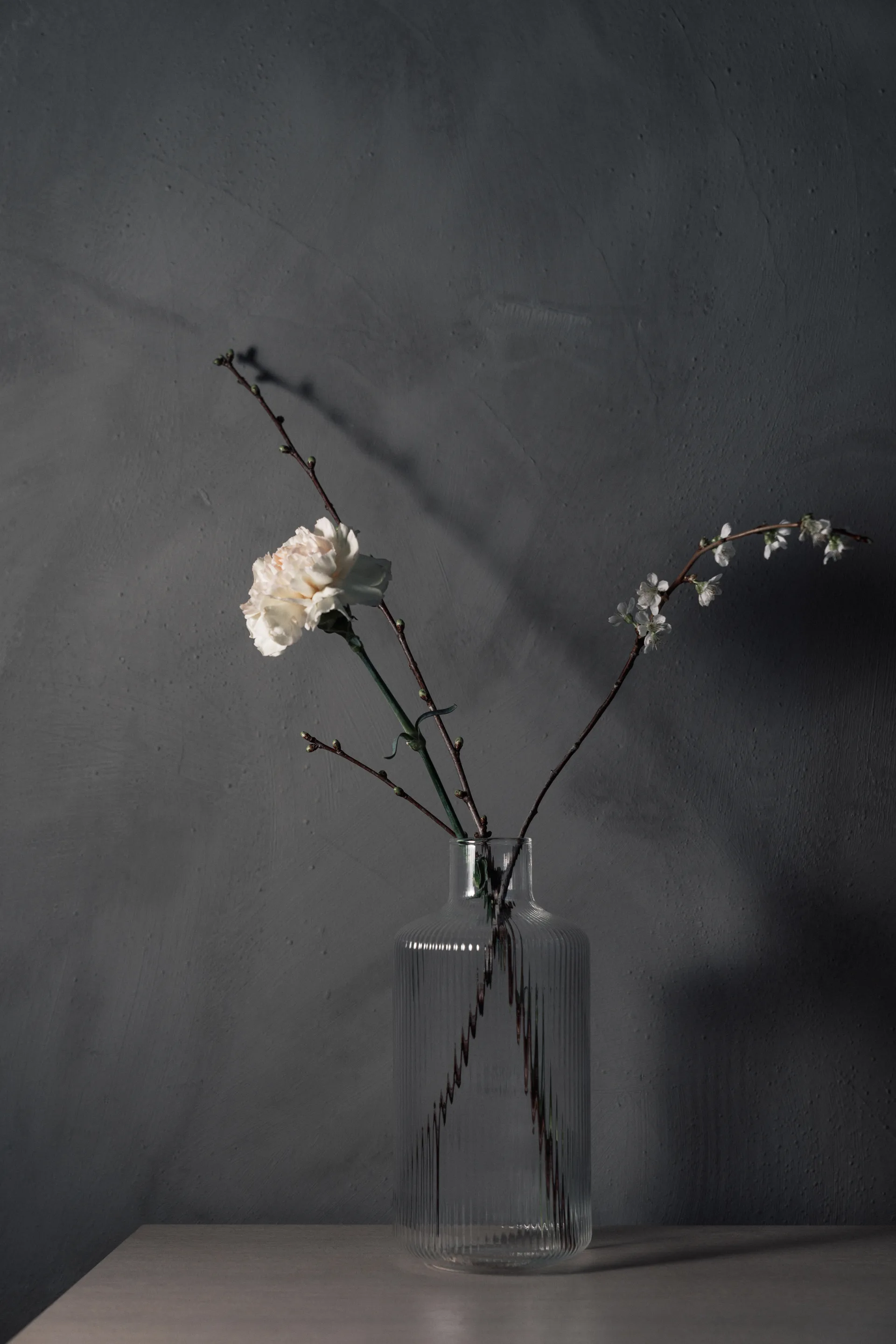 Jarro YKON 1,5 L, Transparente Vargen & Thor