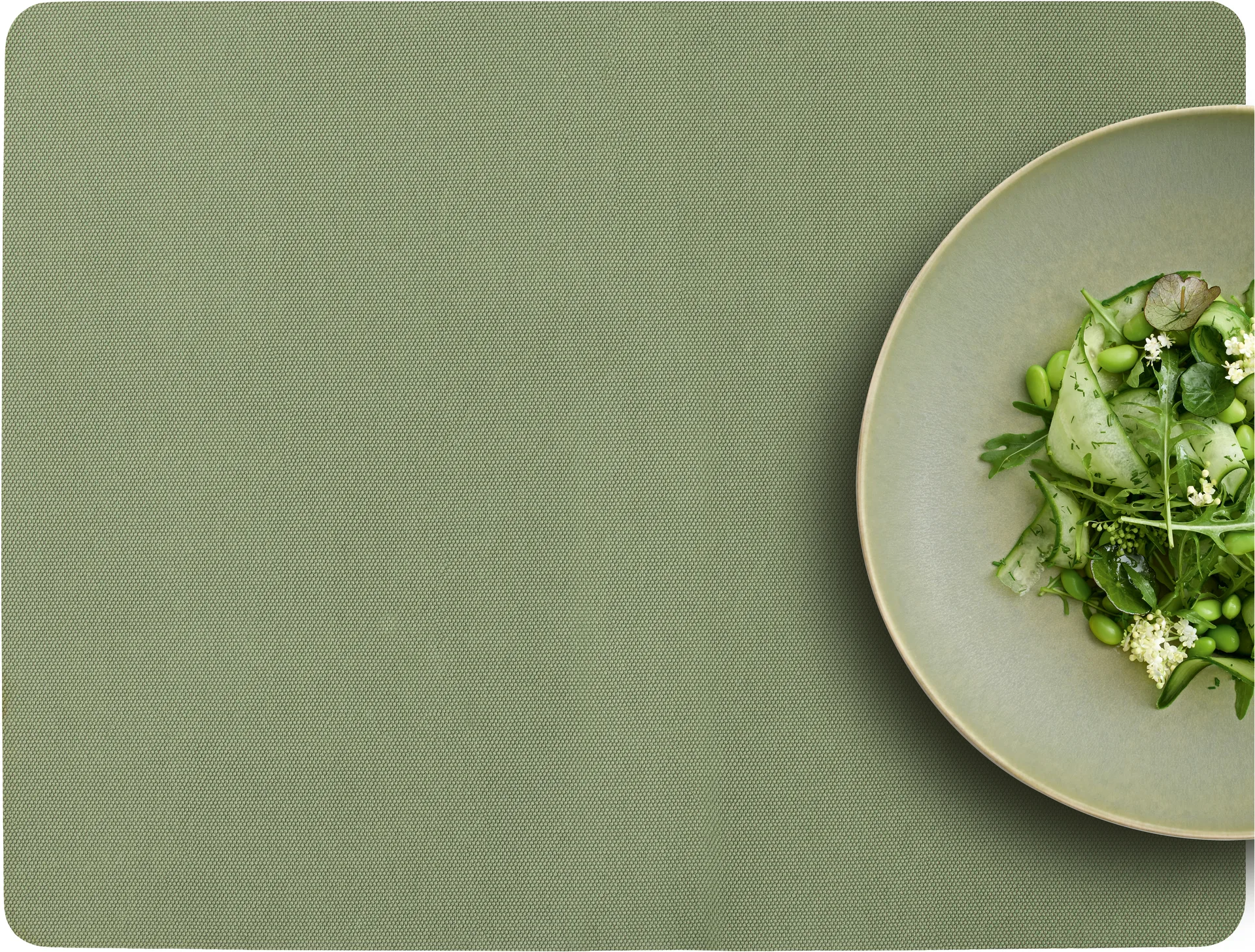 Shoku individual de mesa 35x46 cm 4 unidades, Verde puro Villa Collection