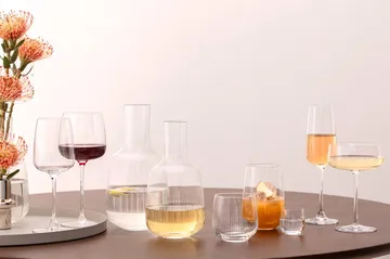 Afina copo de shot - Transparente, 4 cl, pack de 4 - Villeroy & Boch