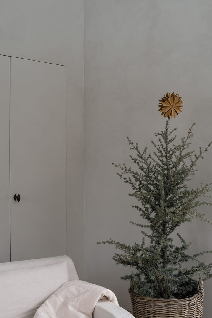Estrela para árvore de Natal Nova Ø20 cm, Dourado Watt & Veke
