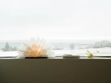 Mezza Snöblomma estrela de mesa - White-coffee - Watt & Veke
