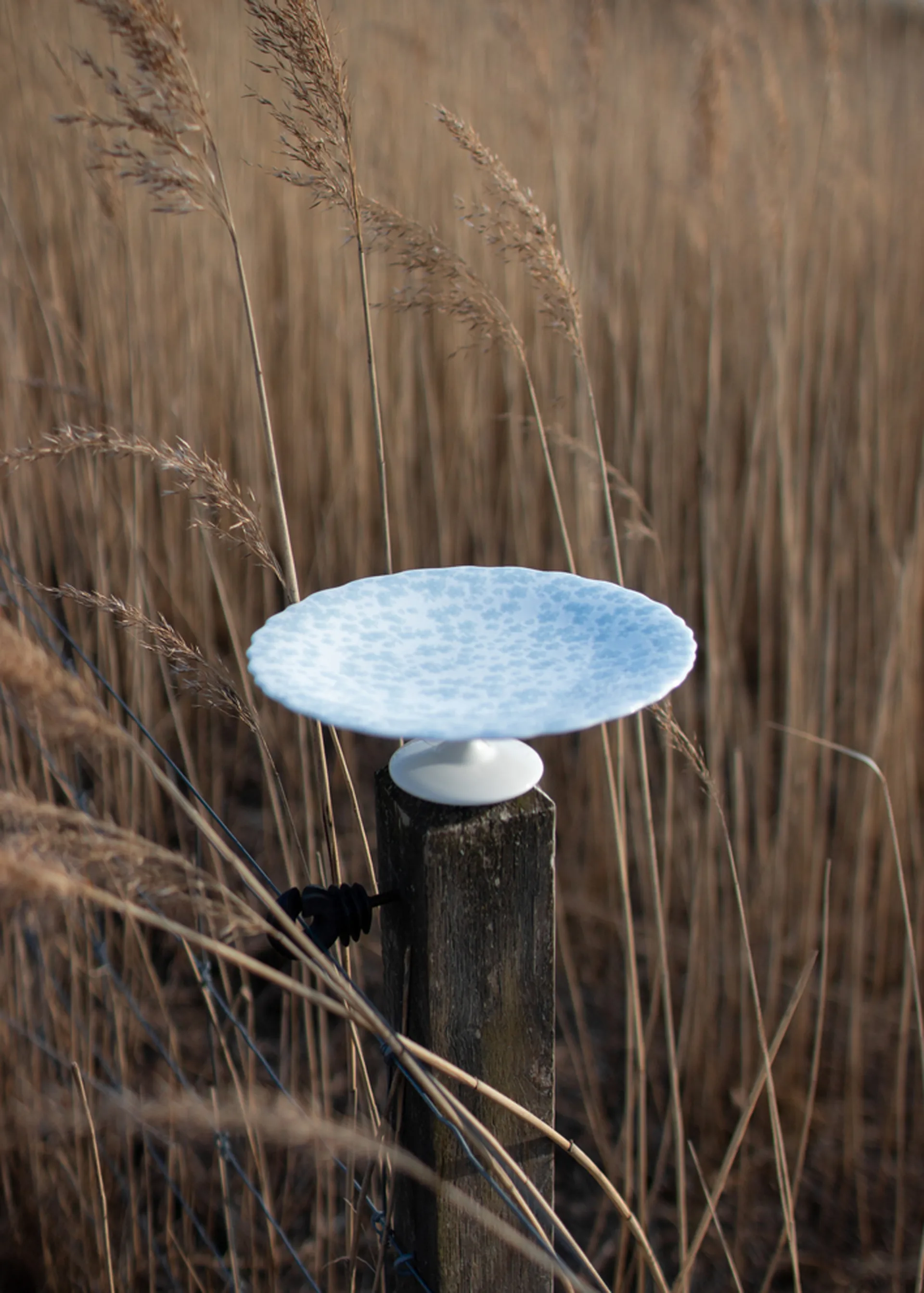 Bandeja para bolos Slåpeblom Ø21 cm, Azul Wik & Walsøe