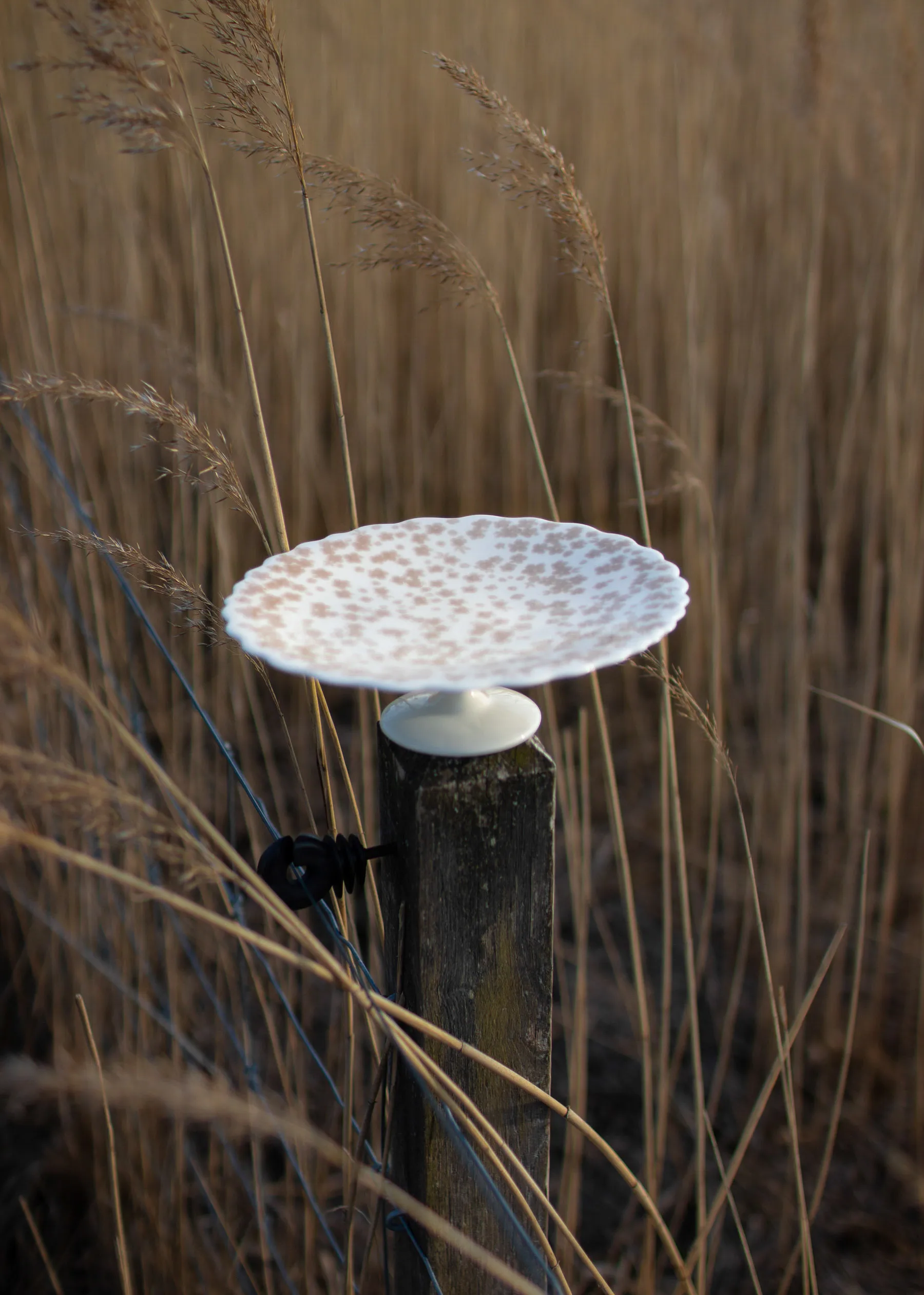 Bandeja para bolos Slåpeblom Ø21 cm, Rosa  Wik & Walsøe