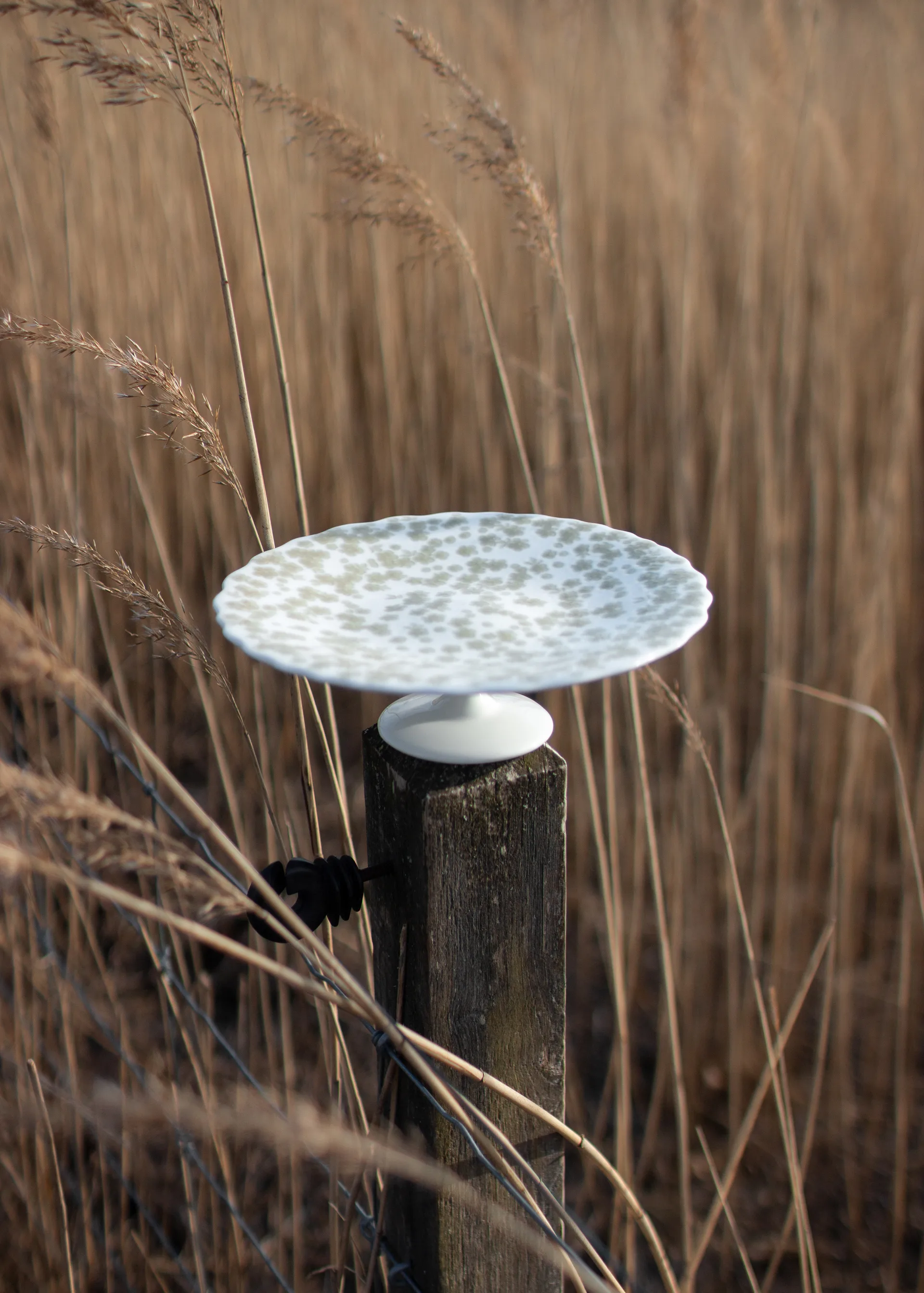 Bandeja para bolos Slåpeblom Ø21 cm, Verde Wik & Walsøe