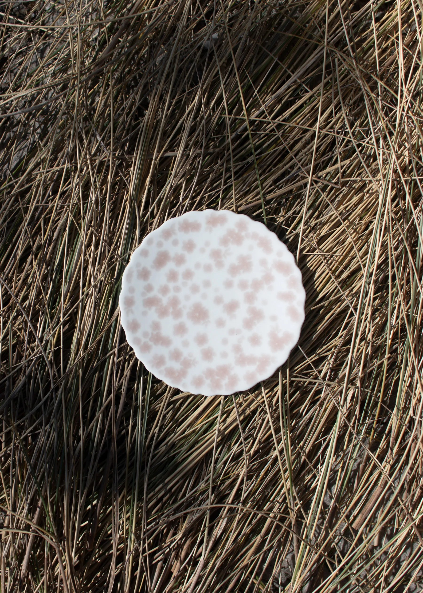 Prato Slåpeblom Ø13 cm, Rosa  Wik & Walsøe