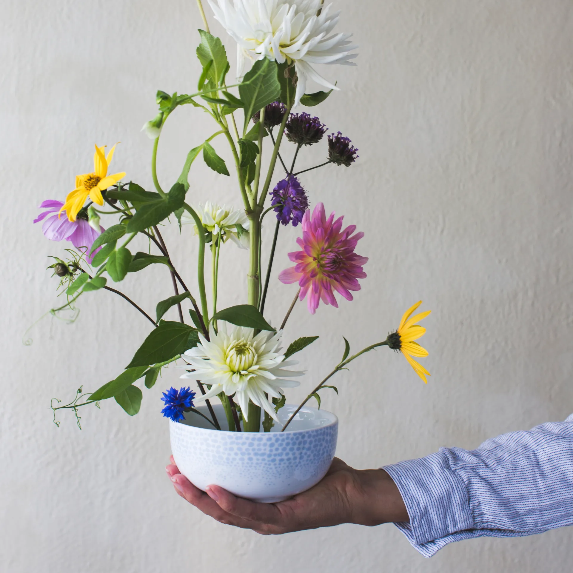 Tigela Osean 50 cl, Ocean Wik & Walsøe