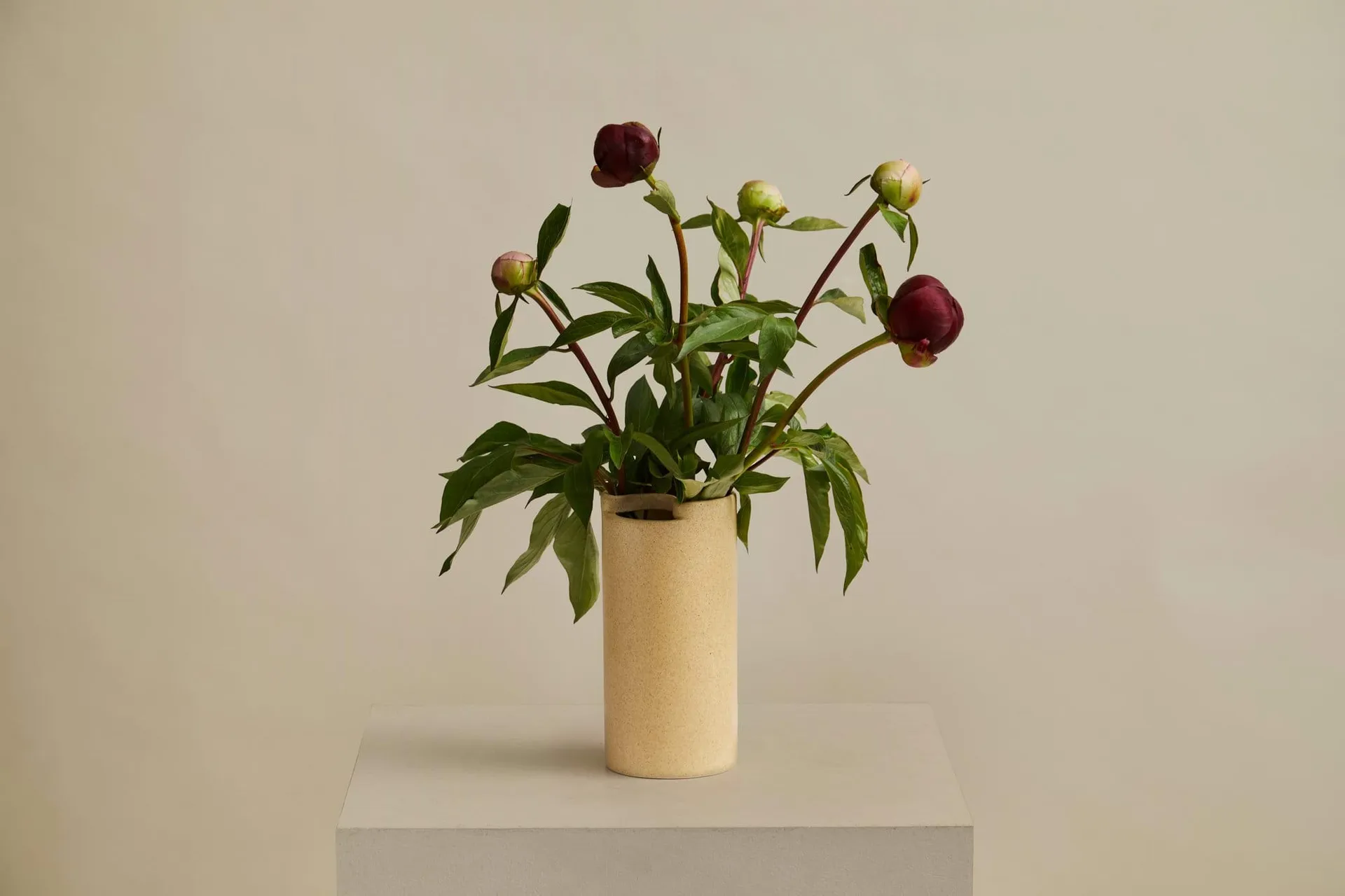 Flowr vaso, 21,5 cm Woud