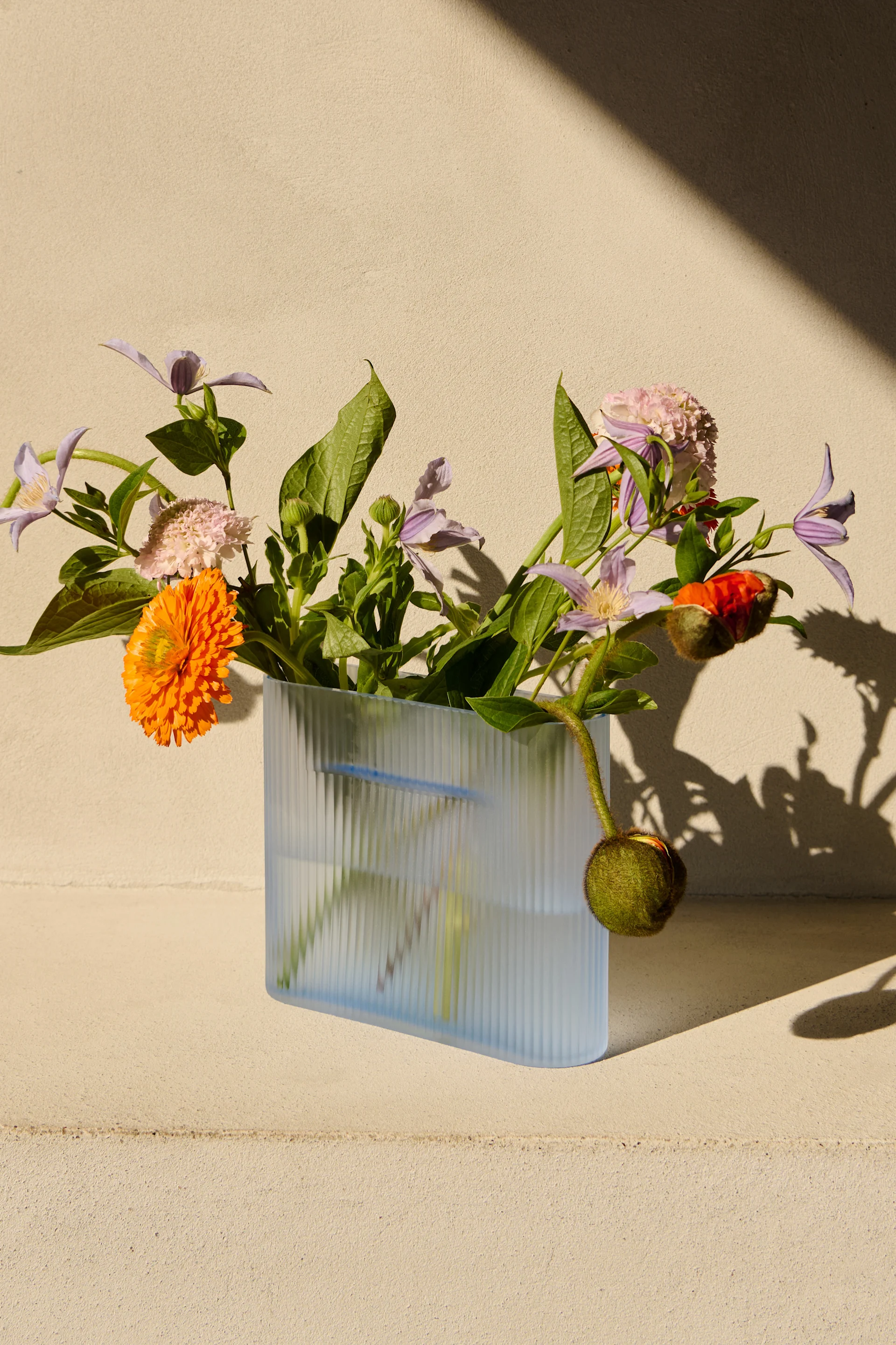 Um vaso canelado azul claro com uma flor laranja, clematites roxas, scabiosa rosa e um botão de papoila. Fundo bege ensolarado.